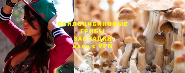 сатива Киреевск