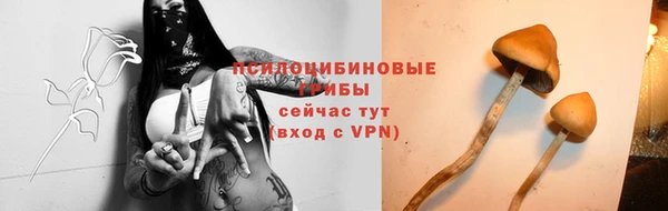 сатива Киреевск